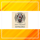 AVO Syncro Nicaragua Cigars